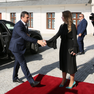 Elegant Lady and Business Man handshake professional meeting etiquette